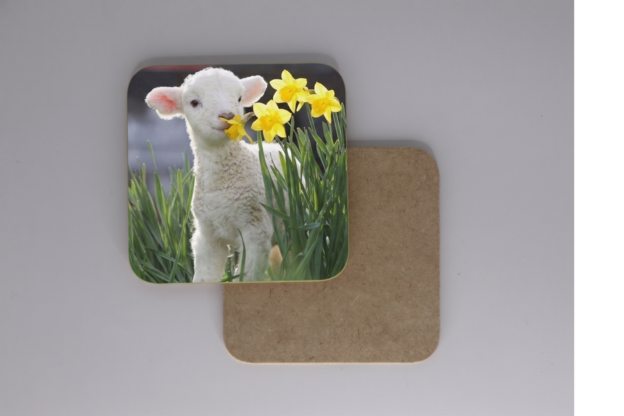 Coasters