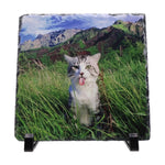Personalised Photo Rock Slate — Large Square (20×20cm)