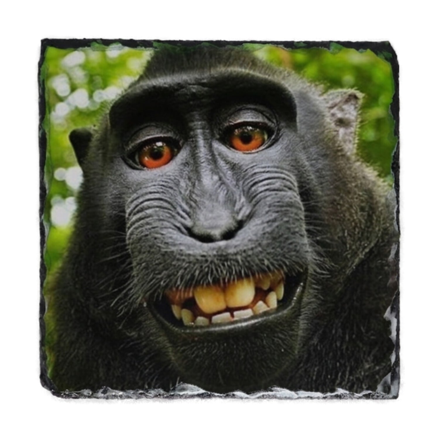 Personalised Photo Rock Slate — Large Square (20×20cm)