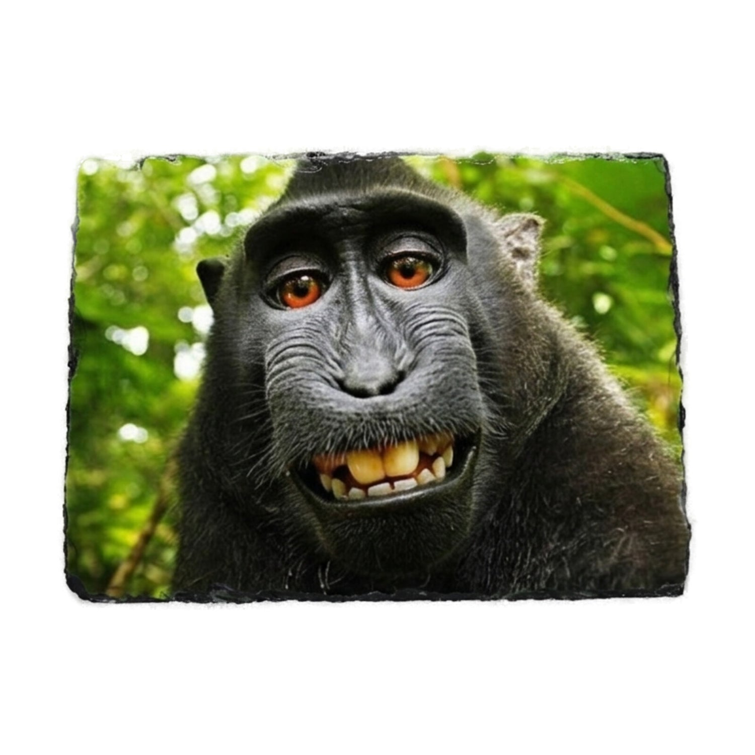 Personalised Photo Rock Slate (20×15cm)