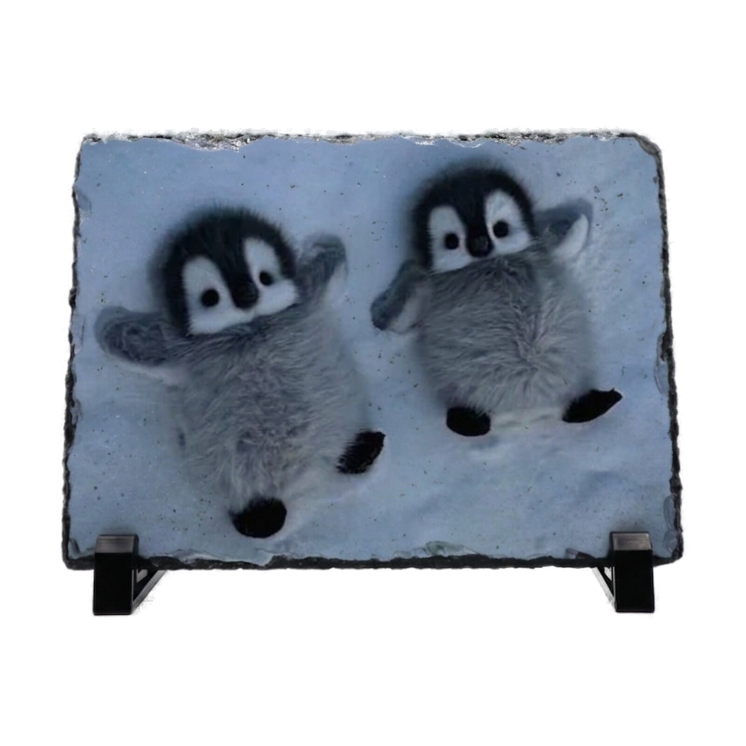 Personalised Photo Rock Slate (20×15cm)