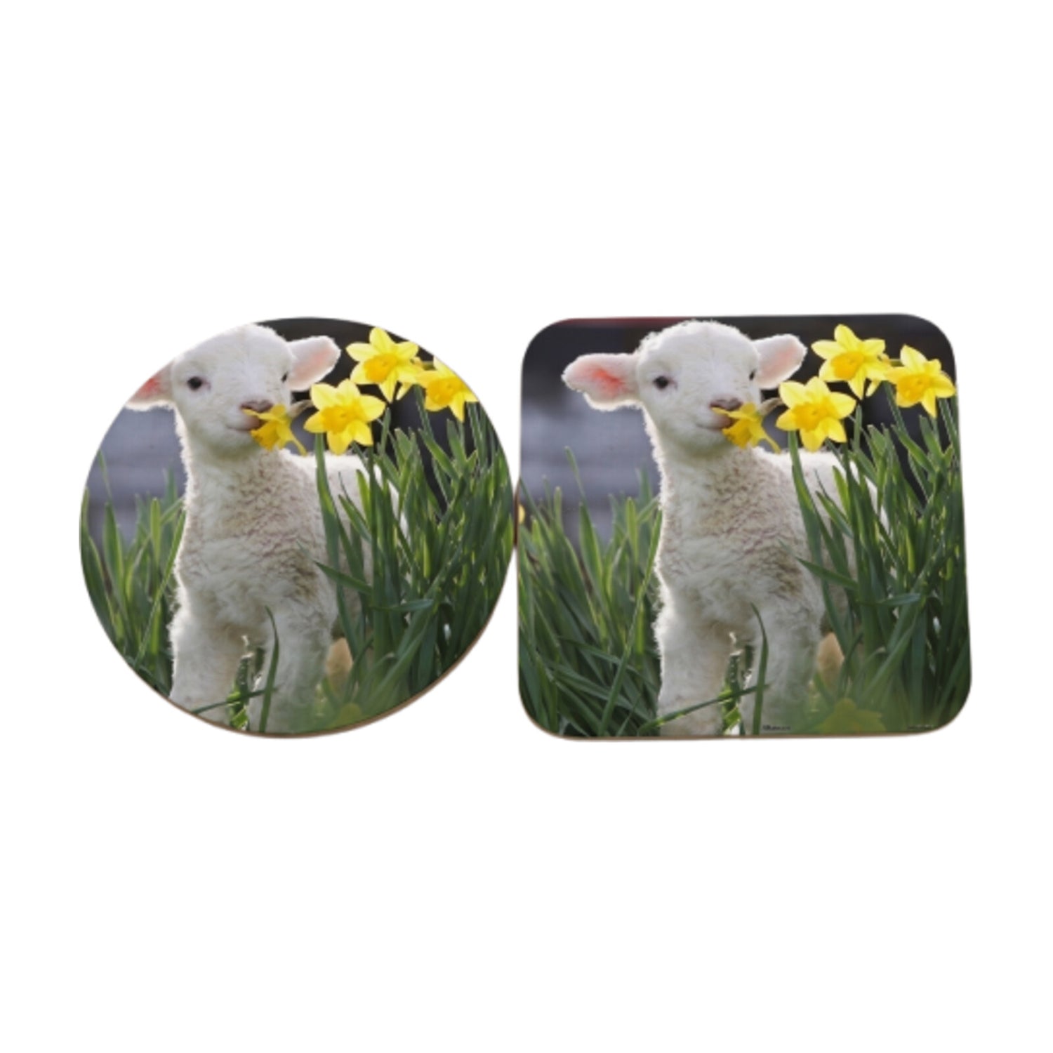 Personalised Mug & Coaster Bundle — Photo Gift Set