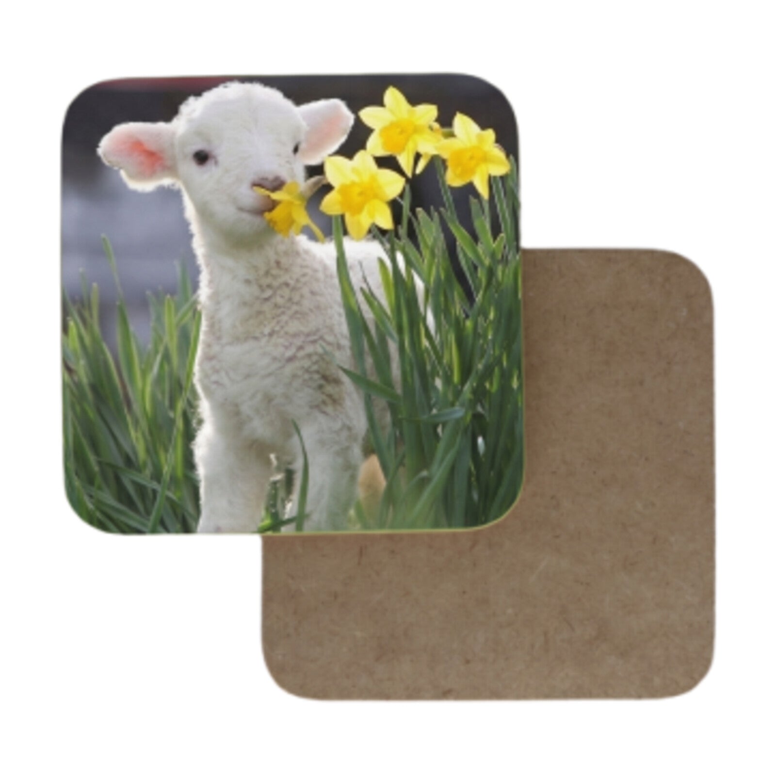 Coasters